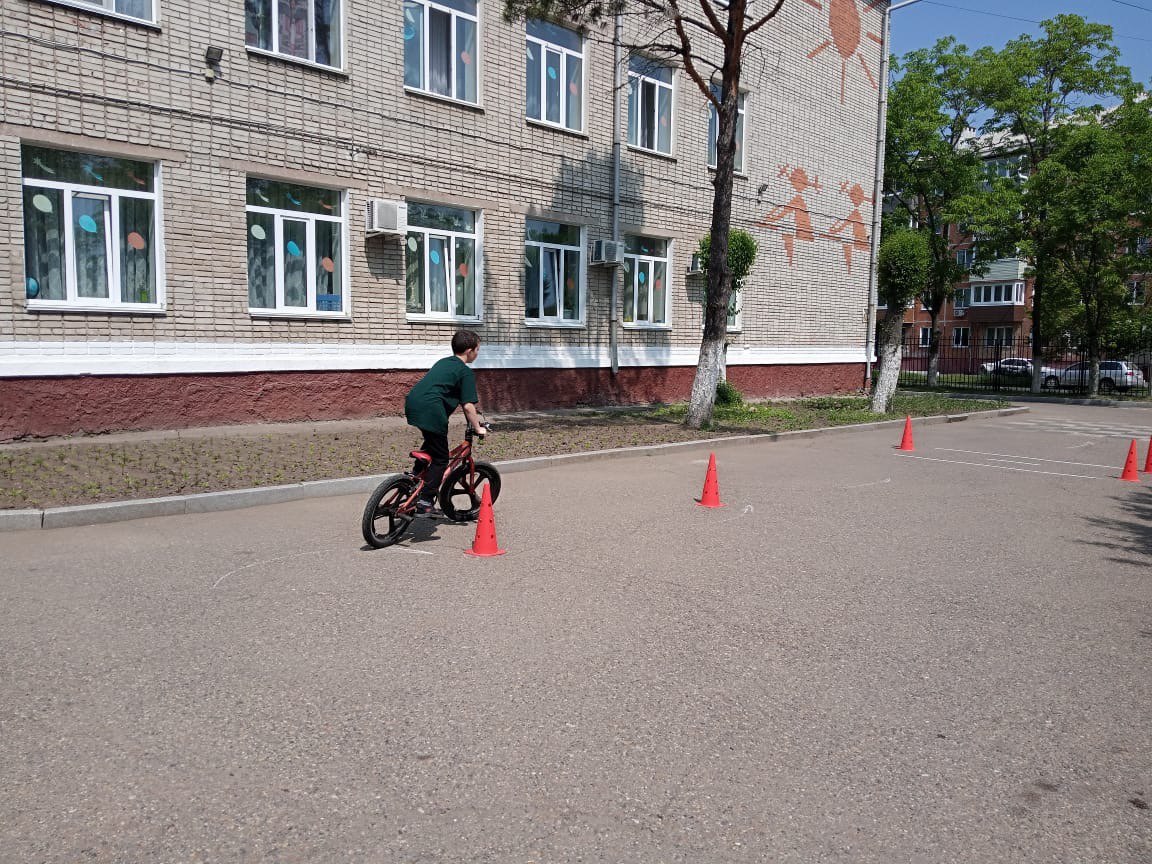 Фестиваль Движения Первых